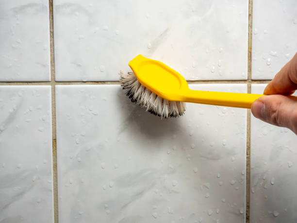 Best Water Damage Restoration  in Fremont, NC