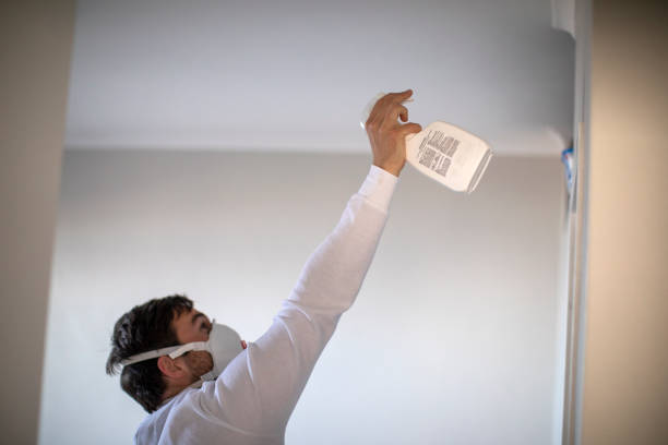 Best Residential Mold Removal  in Fremont, NC
