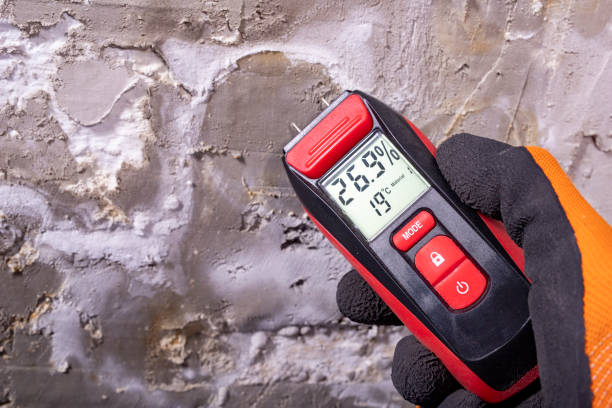 Best Mold Remediation  in Fremont, NC