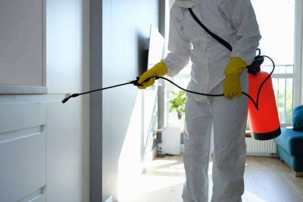Best Same-Day Mold Removal  in Fremont, NC