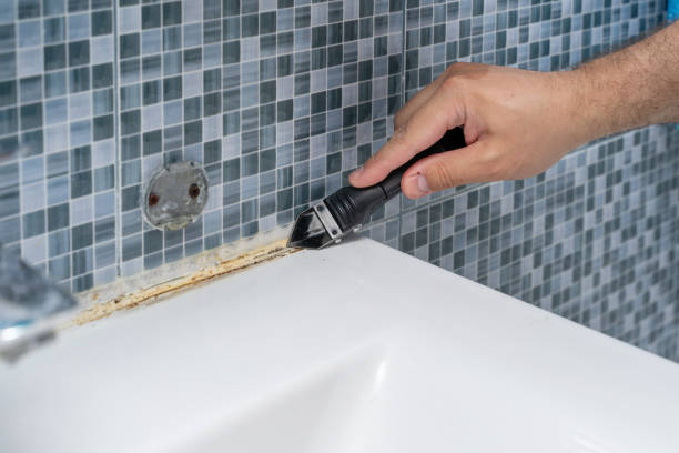 Best Mold Testing and Removal  in Fremont, NC