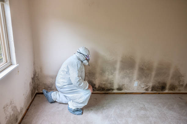Water Damage Restoration in Fremont, NC
